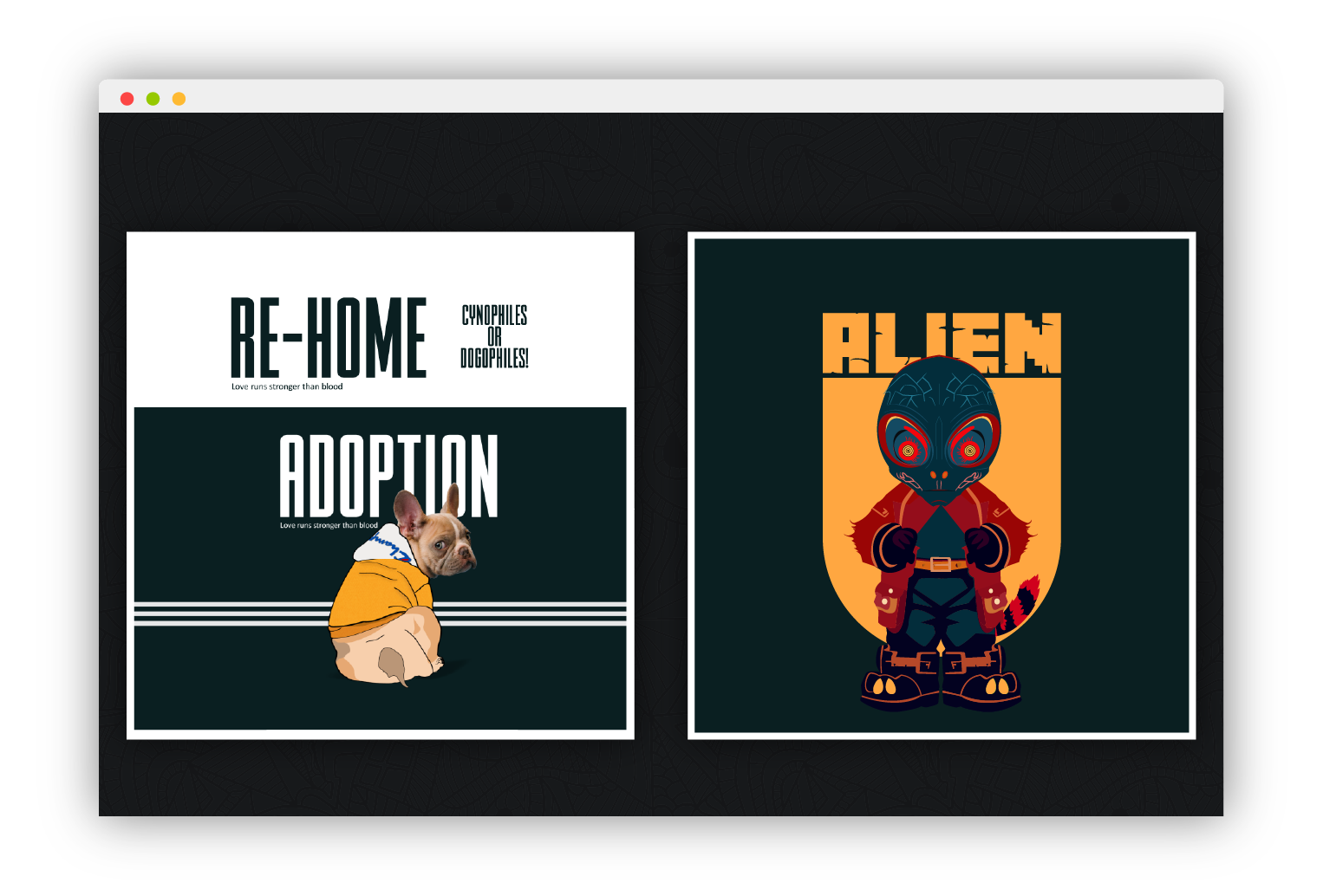project image